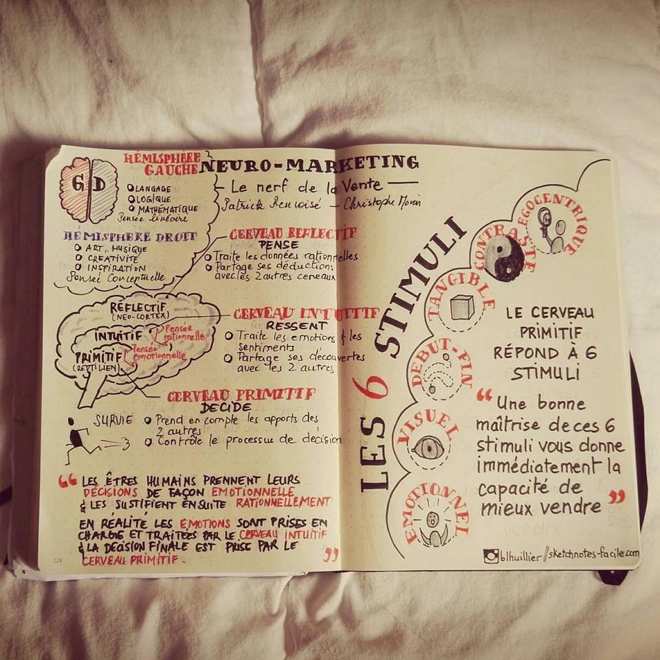 Le neuromarketing sketchnoté par Béatrice Lhuiller Retrouve-la sur www.sketchnotes-facile.com/