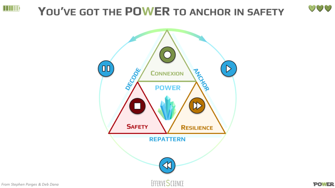 Polyvagal Theory Illustrated Effervescience