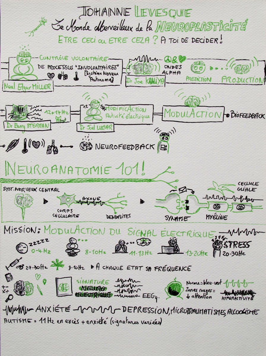 NBS Live 2018 Johanne Lévesque nous parle de neuroplasticité et de neurofeedback