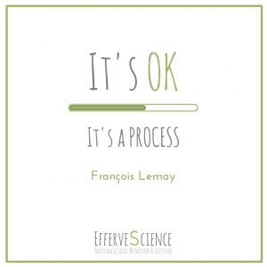 It's OK It's a PROCESS-François Lemay