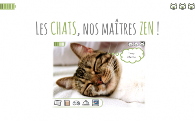 Les chats, nos Maîtres Zen