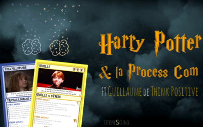 Harry Potter & la Process Com