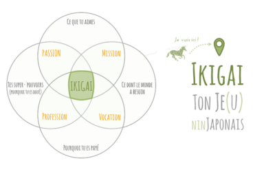 Ikigai : ta quête, ton Je(u) ninJaponais