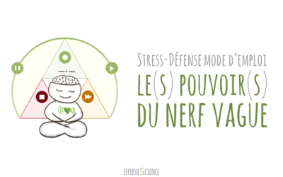 Stress-défense : le(s) pouvoir(s) du nerf vague