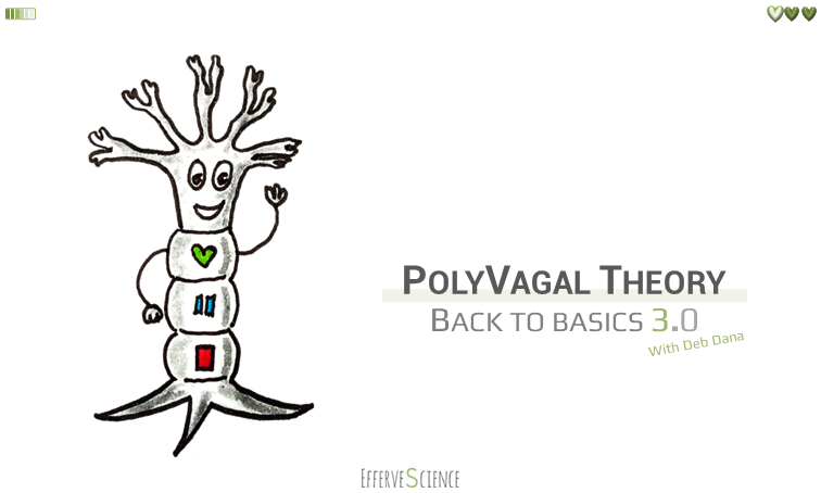 PolyVagal Theory: back to basics